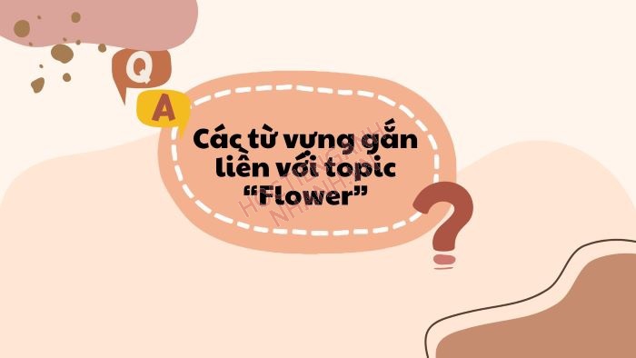Flower nghĩa tiếng Việt là gì? Cách dùng từ Flower trong các ngữ cảnh