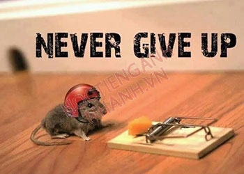 Never give up nghĩa là gì? Phát âm và câu đồng nghĩa