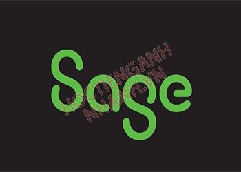 Sage nghĩa tiếng Việt là gì? Định nghĩa  và cách đọc chuẩn nhất