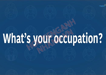 What is your occupation là gì? Cách trả lời chuẩn nhất