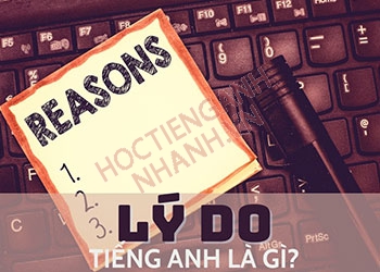 Lý do tiếng Anh là gì? Các cụm từ tiếng Anh liên quan