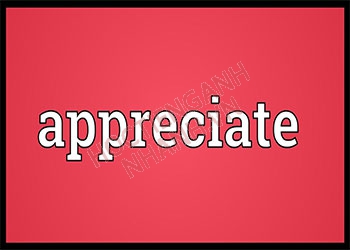 Appreciate là gì? Phát âm chuẩn và cách sử dụng từ appreciate
