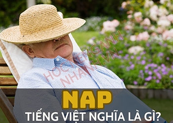 Nap nghĩa tiếng Việt là gì? Ý nghĩa và cách dùng từ chuẩn