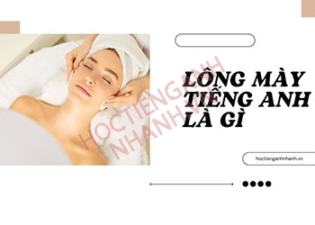 Lông mày tiếng Anh là gì? Cách phát âm và đoạn hội thoại