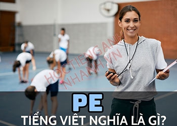 PE nghĩa tiếng Việt là gì? Tìm hiểu tất cả ý nghĩa của từ này