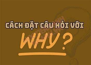 Cách đặt câu hỏi với why và trả lời câu hỏi why chính xác