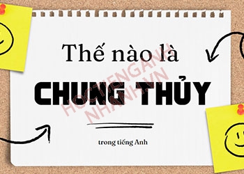 Chung thủy tiếng Anh là gì? Từ đồng nghĩa và ví dụ