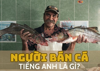 Người bán cá tiếng Anh là gì? Cách phát âm và từ đồng nghĩa