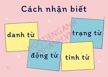 Tổng hợp các loại từ trong tiếng Anh thông dụng hiện nay