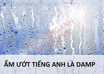 Ẩm ướt tiếng Anh là gì? Cách phát âm chuẩn và đoạn hội thoại