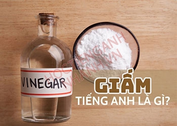 Giấm tiếng Anh là gì? Cách phát âm và ví dụ liên quan