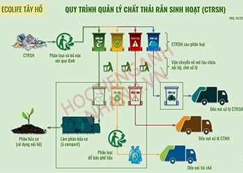 Rác thải tiếng Anh là gì? Ví dụ song ngữ và cụm từ liên quan