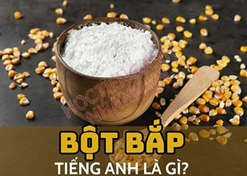 Bột bắp tiếng Anh là gì? Ví dụ liên quan và mẫu hội thoại