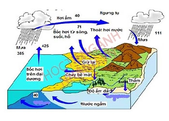 Mạch nước ngầm tiếng Anh là gì? Ví dụ và hội thoại liên quan