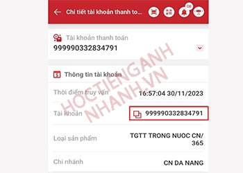 Số tài khoản tiếng Anh là gì? Cách phát âm và ví dụ Anh Việt