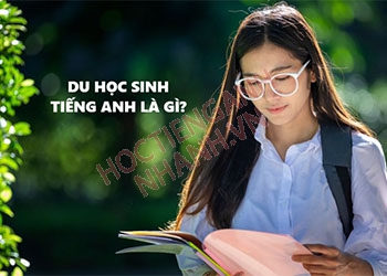 Du học sinh tiếng Anh là gì? Học phát âm, phân biệt từ đồng nghĩa